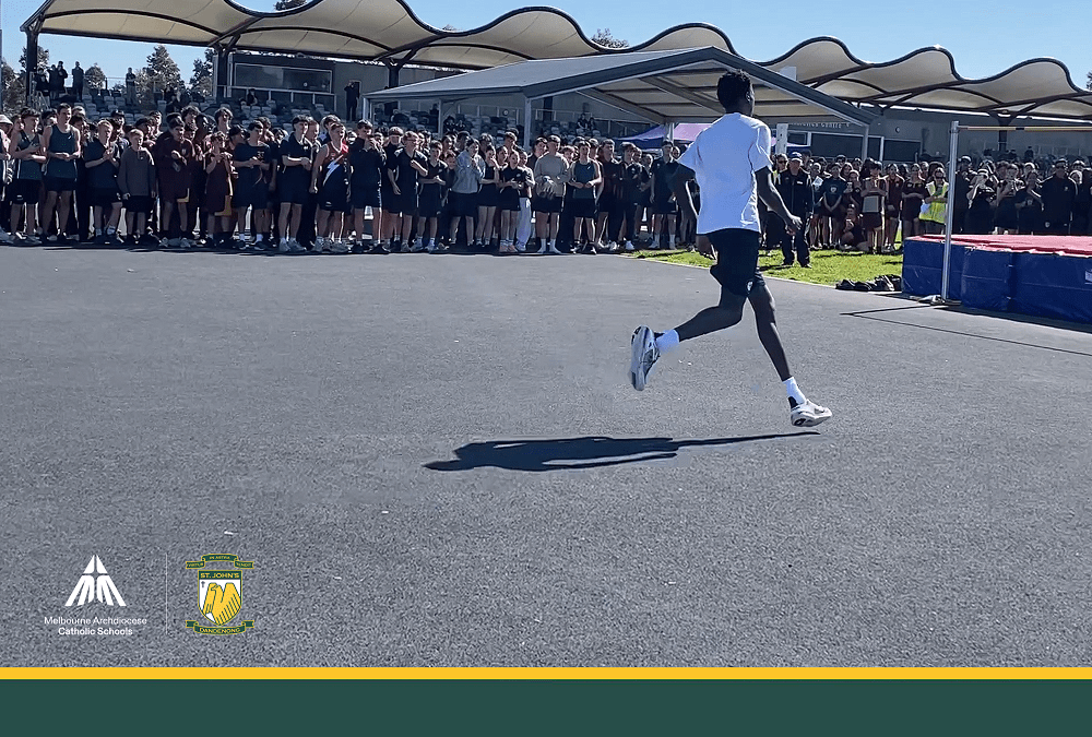 SJRC Newsletter – Issue 14